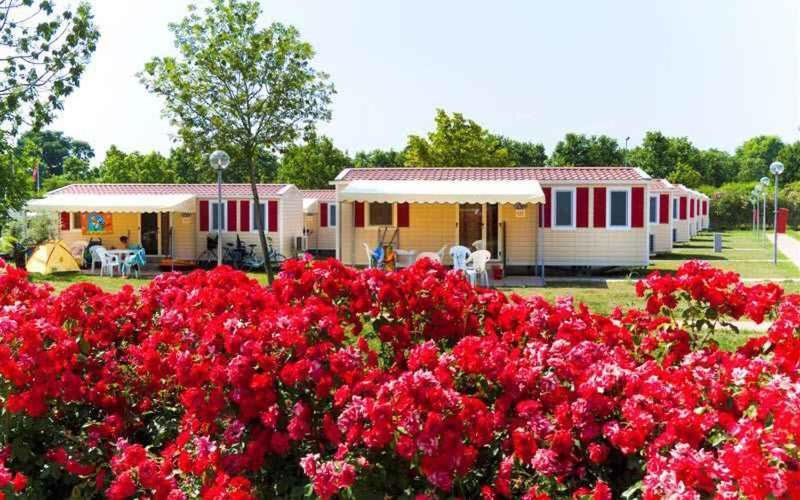 Mobilehomes In Sirmione/Gardasee 22177 Zewnętrze zdjęcie